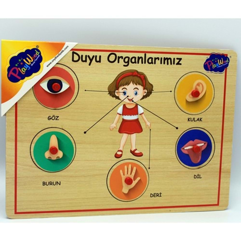 Playwood Ahşap Tutmalı Organlar Ony-166/167