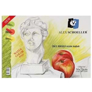 Alex Schoeller İnce Dokulu 50X70 120Gr Alx-071