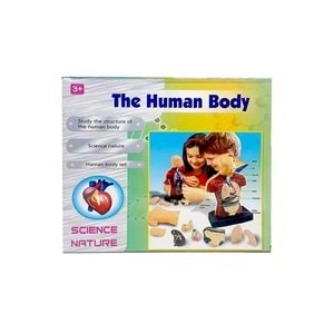 Human Body Kutulu İnsan Vücudu 3301