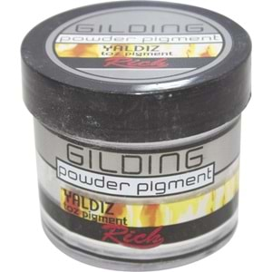 Rich Gıldıng Powder Pıgment 60 CC Gümüş 11009