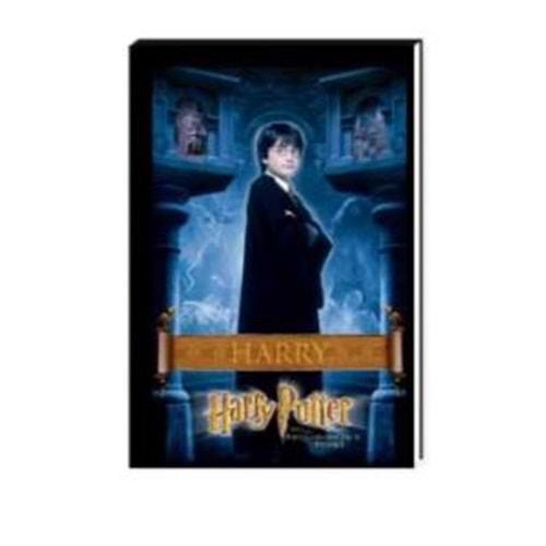 Keskin Harry Potter A7 Standlı İkili Bloknot -36-